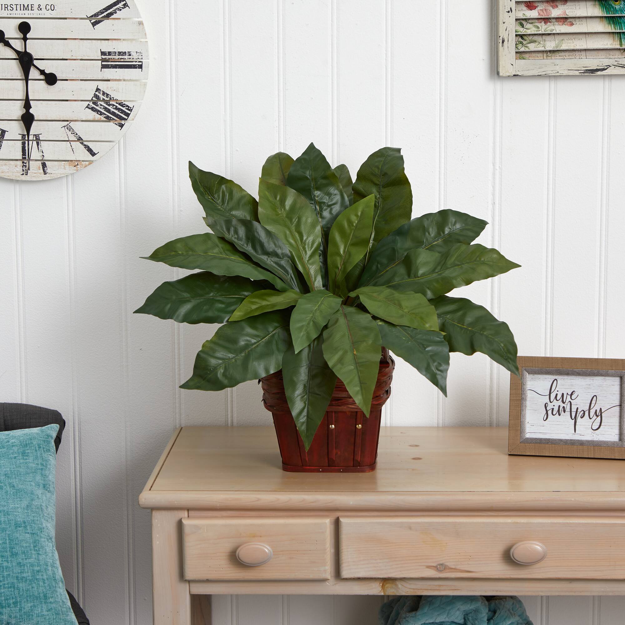 22" Birds Nest Fern with Wicker Basket